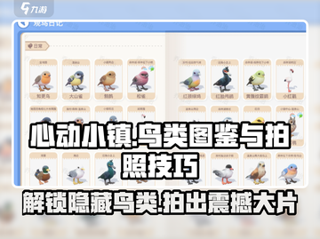 心动小镇鸟类图鉴大公开！📸快速集齐图鉴技巧来啦～截图1