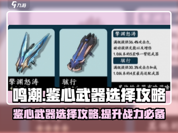 鸣潮🔥鉴心武器最佳选择攻略！💎截图1