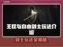 王权与自由：剑士职业玩法大揭秘！⚔🔥