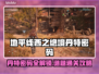 地平线西之绝境🔥丹特密码全解锁攻略🎮