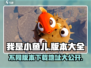 我是小鱼儿🔥多版本下载秘籍💎游戏爱好者必看！