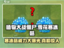 植物大战僵尸杂交版❄雪花寒冰菇超强攻略来啦！