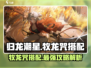 归龙潮星牧龙咒最强搭配🔥游戏党必看！