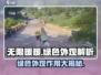 无限暖暖🔥绿色外观隐藏作用大揭秘！游戏党必看✨