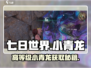 七日世界🔥高等级小青龙获取秘籍🎉