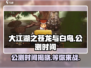 大江湖之苍龙与白鸟🔥公测时间终于曝光啦！💥