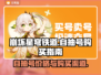 崩坏星穹铁道自抽号💰最低价购买渠道🔥