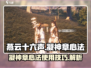 燕云十六声🔥凝神章心法使用攻略来啦！