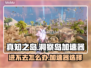 真知之岛进不去？洞察岛加速器推荐🔥🎮