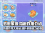梦想家园鸡蛋作用大公开！💡玩游戏还能这么玩？🎮