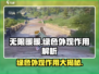 无限暖暖💚绿色外观作用大揭秘！玩家必看🔥