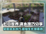 《七日世界》浇水技巧大公开！💎让你的游戏植物爆棚生长！