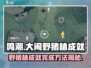 鸣潮⚡野猪林成就轻松完成秘籍/Game
