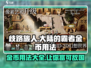 《歧路旅人大陆的霸者》金币✨用法大揭秘！超值攻略等你来薅