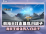 航海王壮志雄心🔥白胡子最强攻略⚡