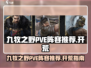 九牧之野🔥PVE最强开荒阵容推荐！💥