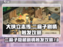 《大侠立志传》🔥二麻子剧情触发攻略来啦！新手必看👇