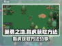 英勇之地💎指虎获取攻略，手游党必看！