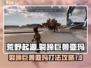 荒野起源🔥裂蹄巨兽亚玛打法攻略超详细！