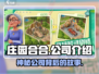 庄园合合🔥爆款游戏来袭！公司背景大揭秘🎮