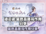 凌云诺💥蓝色品质花作用大起底！🌸