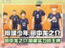 排球少年手游🔥田中龙之介超强详解来啦！