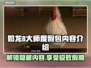如龙8大师度假包🔥超值内容全揭秘🎉