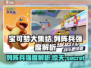 宝可梦大集结：列阵兵强度逆天🔥快来了解！