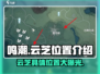 鸣潮🔥云芝具体位置大曝光！快来探索👇