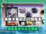 龙族卡塞尔之门🔥熔炼系统玩法大揭秘！