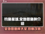 钓鱼星球💥全地图鱼种大揭秘！🐟