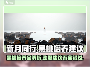 新月同行🔥黑桃培养全攻略♠截图1