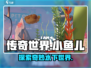 【天刀手游】小鱼儿的鱼类大揭秘🐟