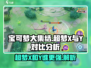 宝可梦大集结：超梦Y吊打超梦X？真相震撼🔥Pokémon