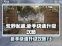 荒野起源💥快速升级攻略，新手必看！🎮