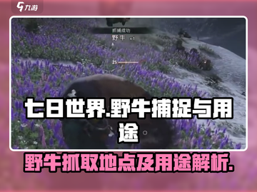 七日世界🎉野牛抓取全攻略，用途大揭秘！截图1