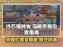 沙石镇时光💥马尾秃鹫位置大揭秘！📍