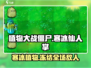 植物大战僵尸：寒冰仙人掌🔥超强攻略来啦！