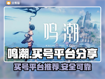 鸣潮🔥买号平台大揭秘！安全上分必备✨截图1