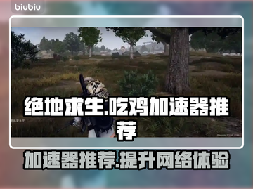 吃鸡游戏流畅秘诀🔥，靠谱加速器大揭秘！截图1