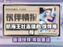 航海王壮志雄心🔥超强伙伴品质大揭秘！