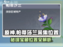 原神🔥帕蒂莎兰采集位置全攻略！💎快收藏
