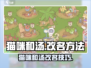 🎮《猫咪和汤》改名秘籍大公开！