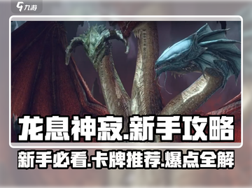 龙息神寂🔥新手必看！超强推荐卡组✨截图1