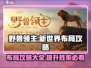 野兽领主新世界🔥布局攻略全揭秘！新手必看👇