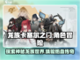 龙族卡塞尔之门🔥：超好玩游戏等你来战！