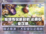 仙境传说新启航🔥法师职业玩法大揭秘！