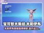 宝可梦大集结🔥太阳伊布技能选啥最强？一文看懂！