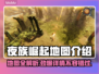 夜族崛起地图全解析，游戏玩家必看！🔥🎮