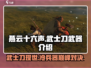燕云十六声🔥武士刀竟是隐藏大杀器！武器全介绍来了
